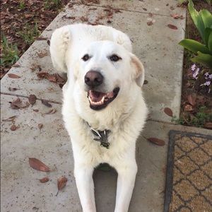 Meet your Posher, Em